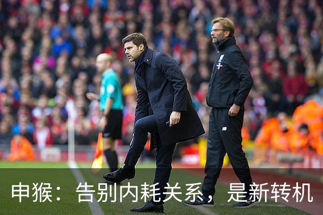 申猴：告别内耗关系，是新转机